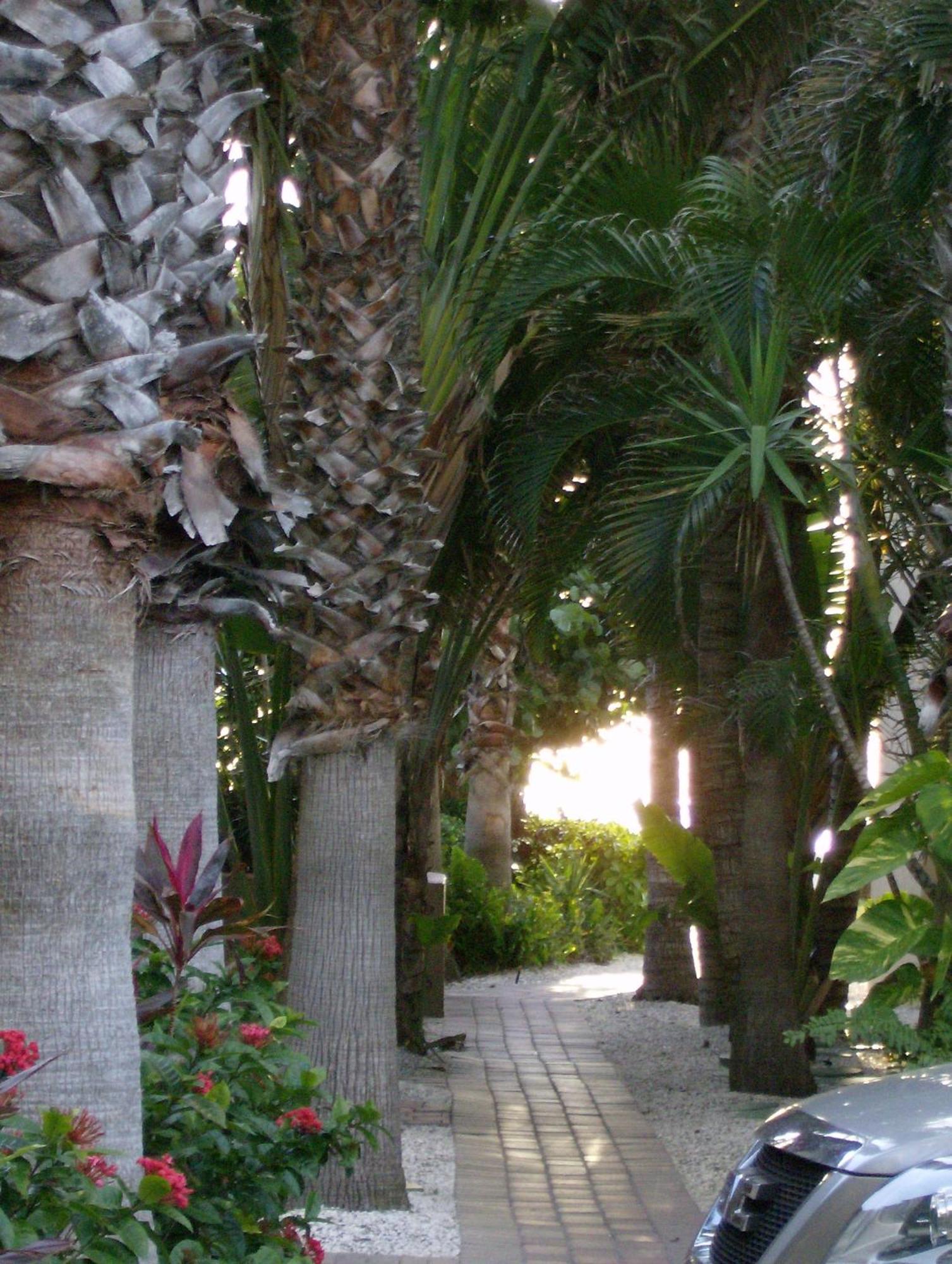 Turtle Crawl Inn - Longboat Key Exteriér fotografie